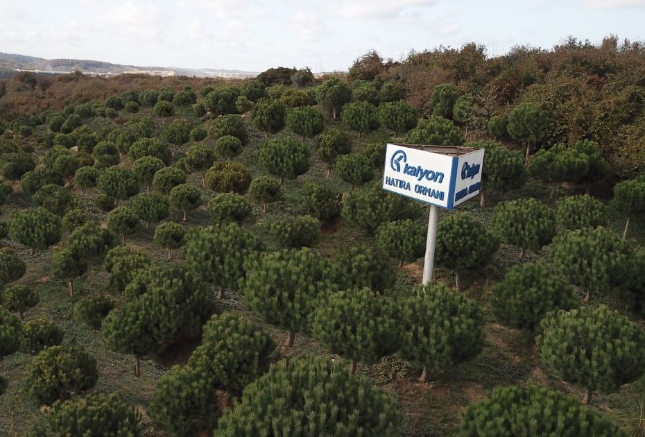 kalyon-insaat-sirketimiz-cevresel-sosyal-etki-card-d7.jpg (1)